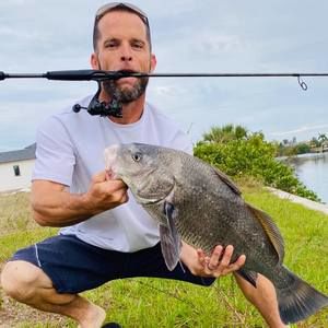 Meet your Posher, Frank